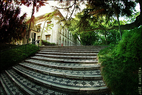 José Bandeira - Jardim Botânico