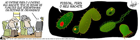 José Bandeira/DN