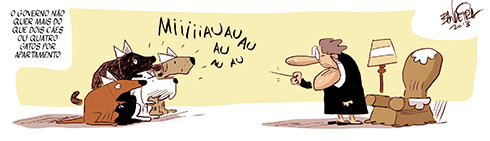 José Bandeira/DN