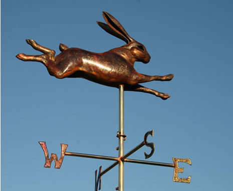hare_leaping.wv.h.jpg
