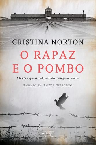 o rapaz e o pombo7[2].jpg
