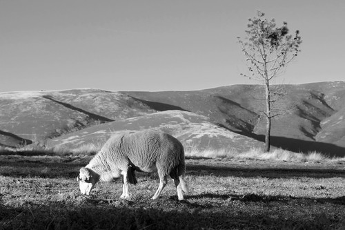 Blogue_paisagem50_Estrela2016.jpg