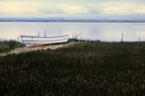 Blogue_paisagem28_Aveiro2016.jpg