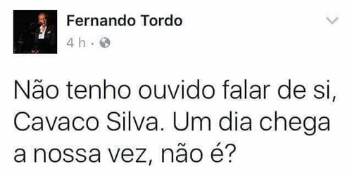tordo.jpg