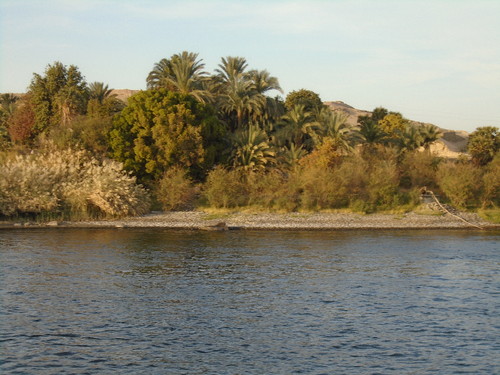 DSC00396.JPG