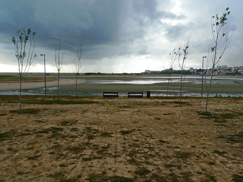 Blogue_douro_Afurada2009.jpg