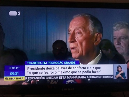 maximo.jpg