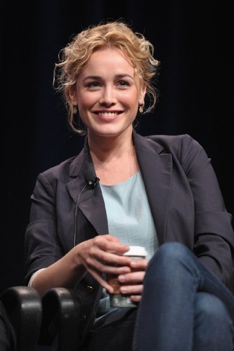 Dominique McElligott.jpg