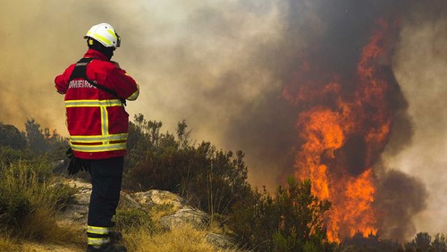Incendio-Pedrogão[1].jpg