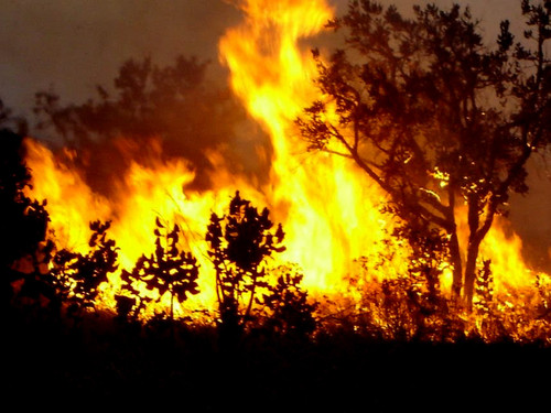 incendio2010[1].jpg