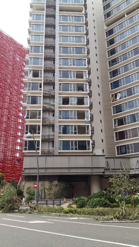 20170823_154210[9].jpg