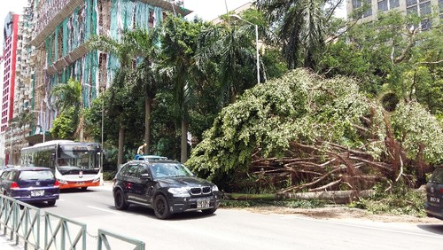 20170825_131157[2].jpg