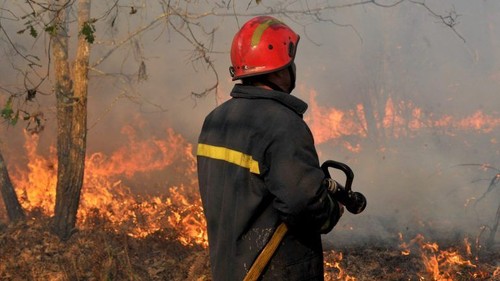 13806312_770x433_acf_cropped[1].jpg