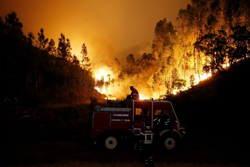 portugal2_44wj1aV[1].jpg