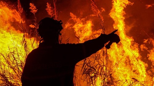 incendiosOUT2017.jpg