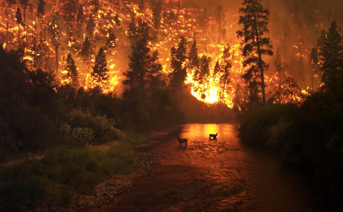 incendio.jpg
