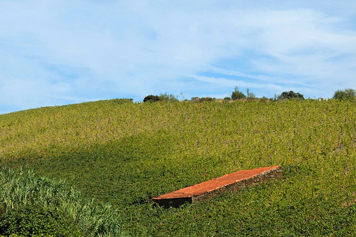 Blogue_paisagem53_Pocinho2016.jpg