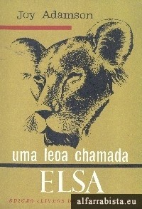 imagem[1].jpg