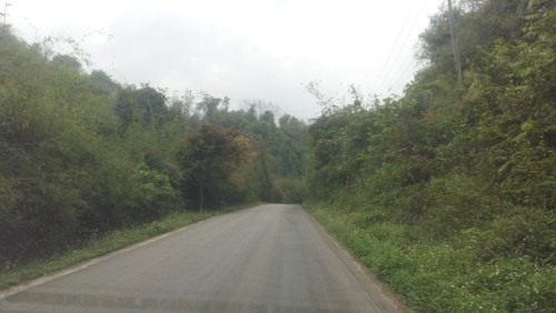 20180401_104819.jpg