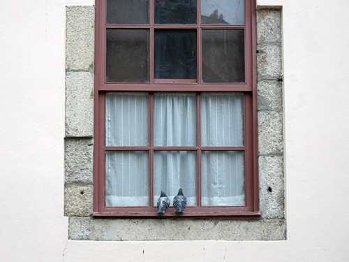 Blogue_p_XP1_Porto2018_1.jpg
