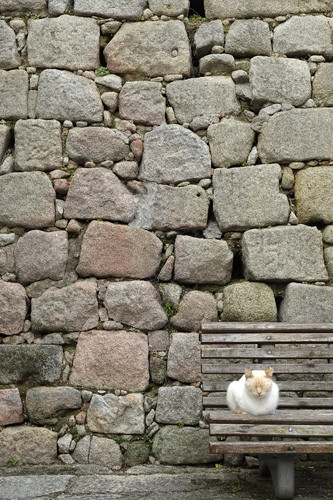 Blogue_p_XP1_Porto2018_8.jpg