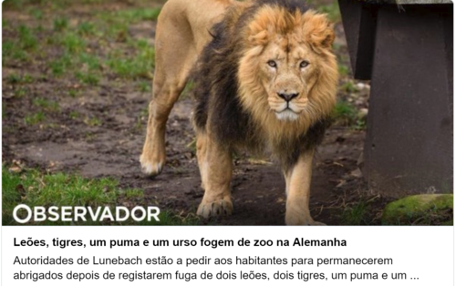 leos.png