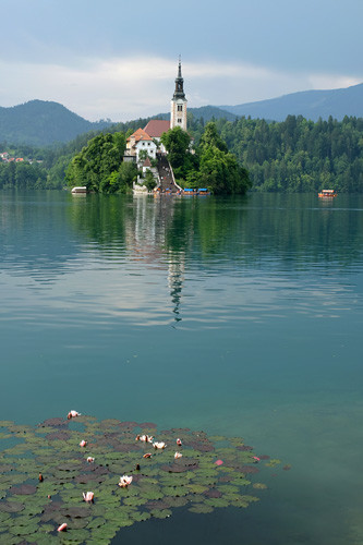 Blogue_Bled1a.jpg