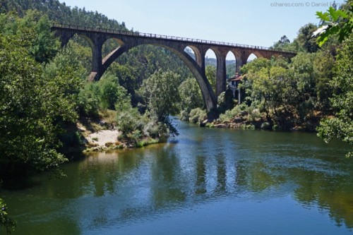 8206015[1].jpg