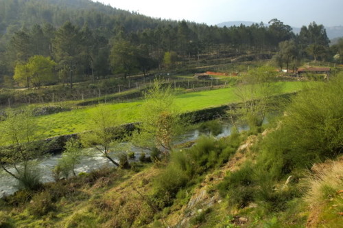 Rio_Ferreira-_Valongo-11.jpg