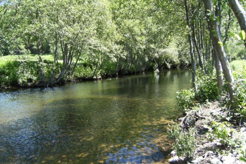 Passos de Lomba - Maio 2011 042[1].jpg