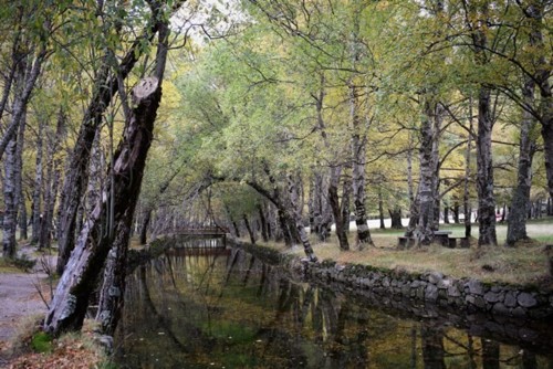 Serra-da-estrela-a-região-7[1].jpg