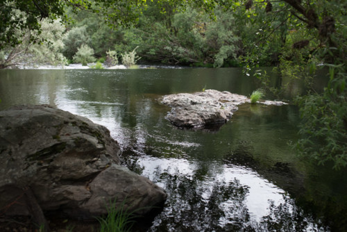 N16_9301[1].jpg