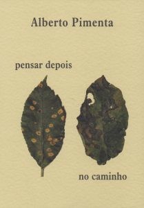 pensar-depois_no-caminho_WEB-209x300[1].jpg