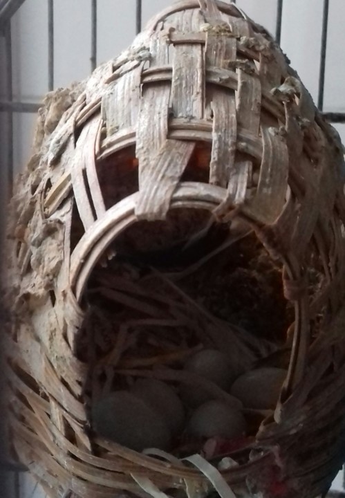 thumbnail_20190131_173008-1.jpg