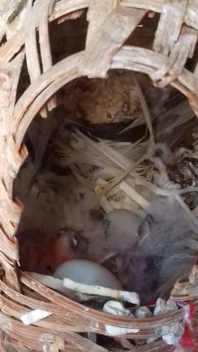 thumbnail_20190203_101149.jpg