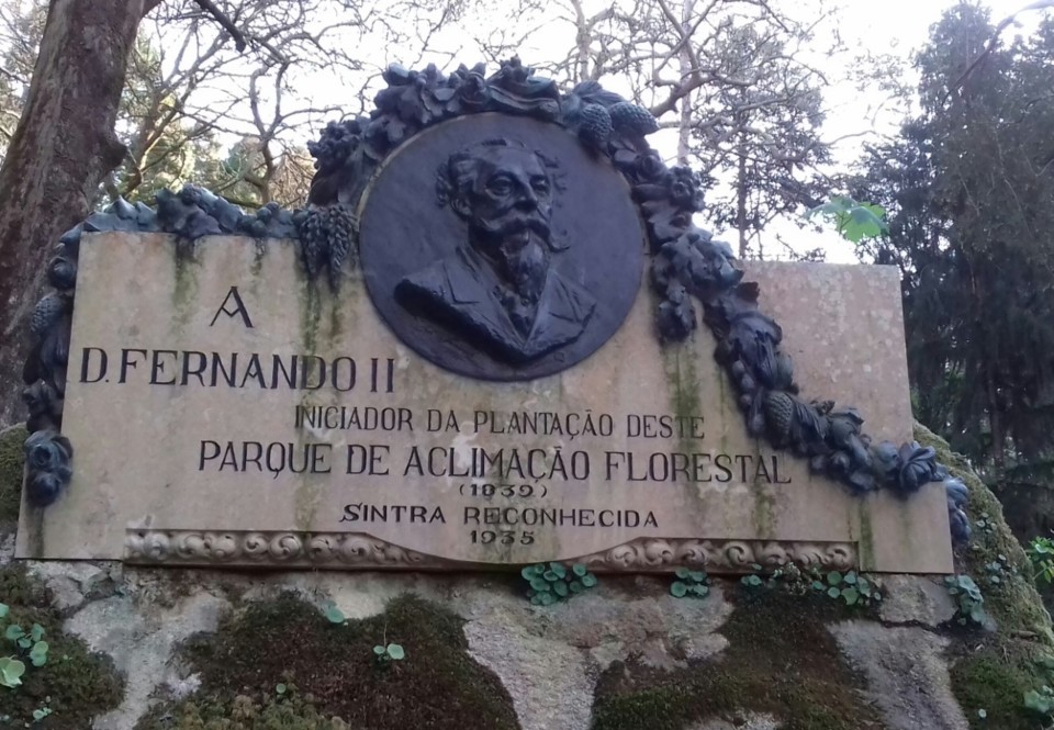 thumbnail_20190328_172914-1.jpg