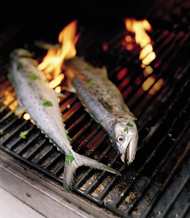 perfect-grilled-mackerel-1456790327.jpg