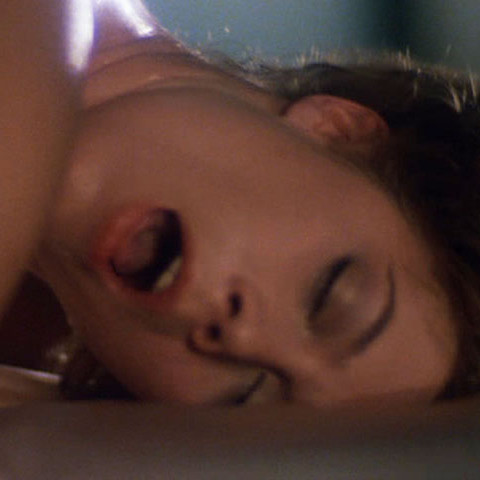 body-heat_480x480[1].jpg