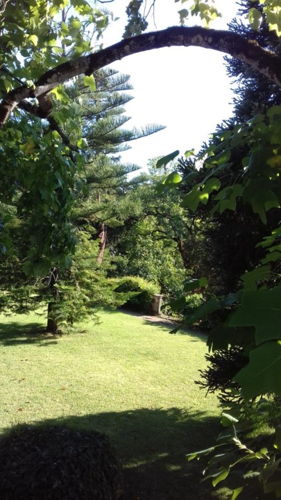 thumbnail_20190813_183832(0)[1].jpg