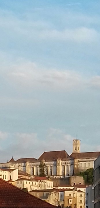 thumbnail_20190812_203646-1[1].jpg