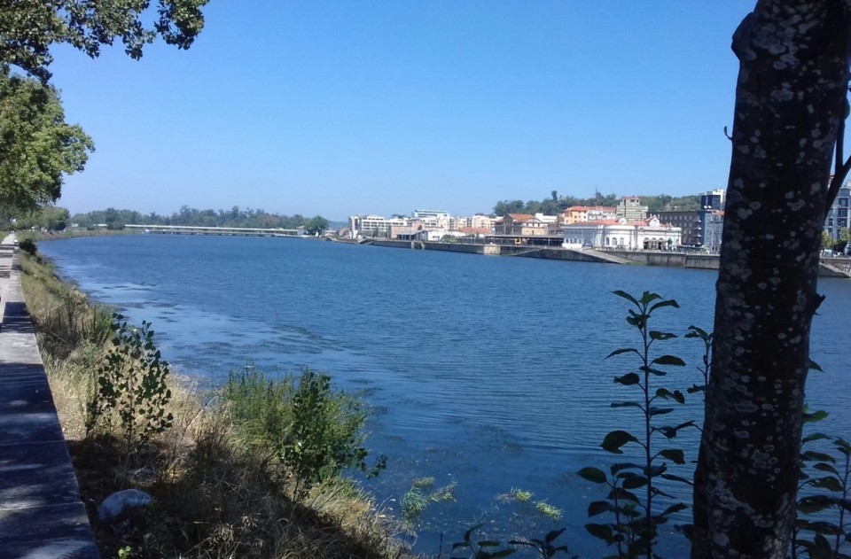thumbnail_20190815_125044-1[1].jpg