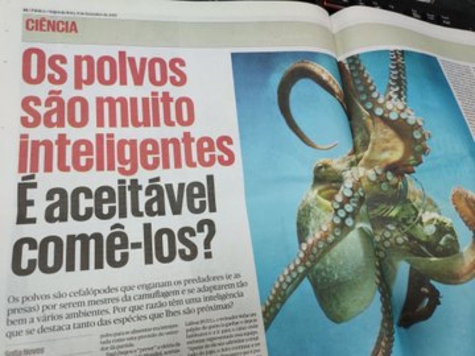 Polvos.jpg Polvos.jpg