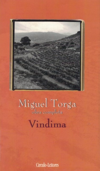 Vindima[1].jpg