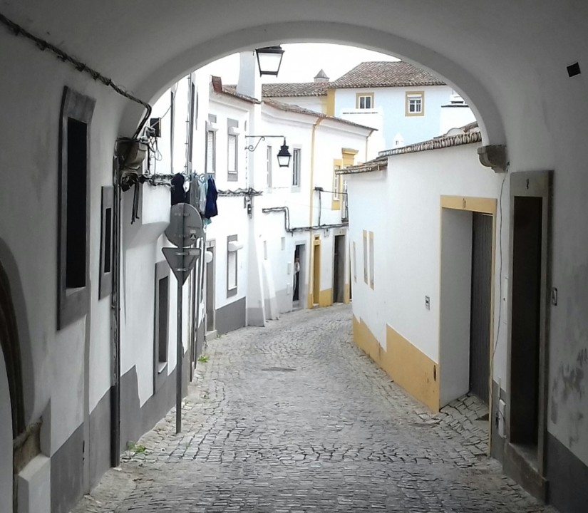thumbnail_20191130_123252-1[2].jpg