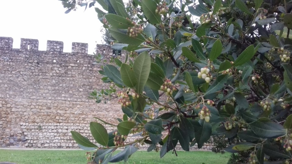 thumbnail_20191128_143425[2].jpg