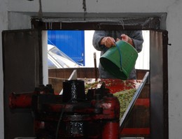 DSC_0038r.JPG