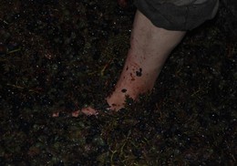 DSC_0078r.JPG