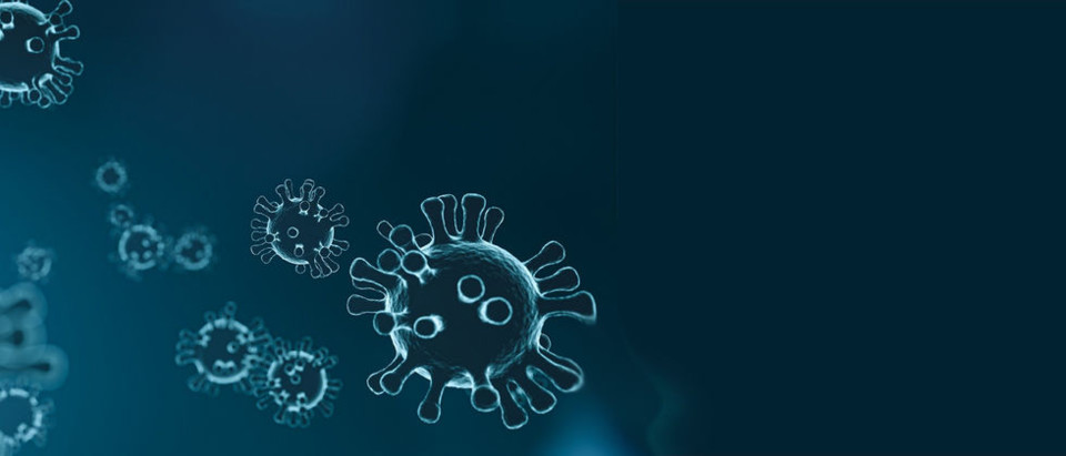 coronavirus_banner_0.jpg