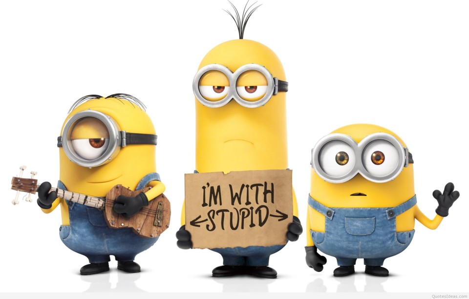 Funny-Im-with-stupid-cartoon-quote.jpg