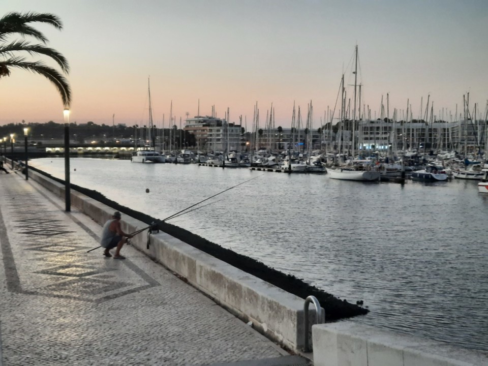 thumbnail_20200805_205311[2].jpg